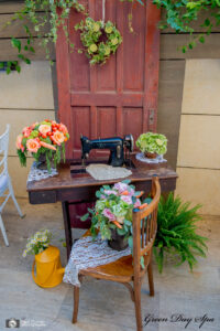 Poze 2014.07.01 Green day spa8