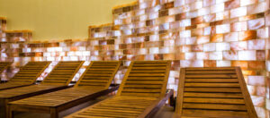 MG_4871-500x220