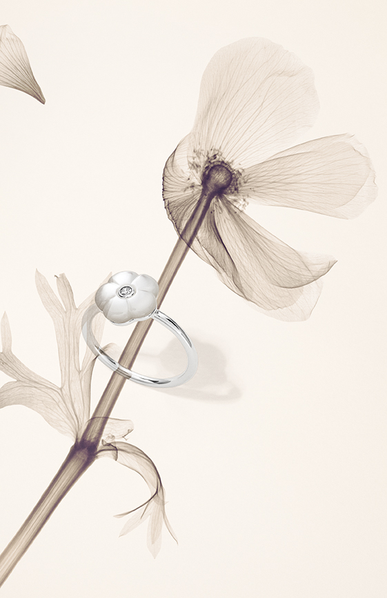 PAN_PR_MD16_LUMINOUS_02_RGB