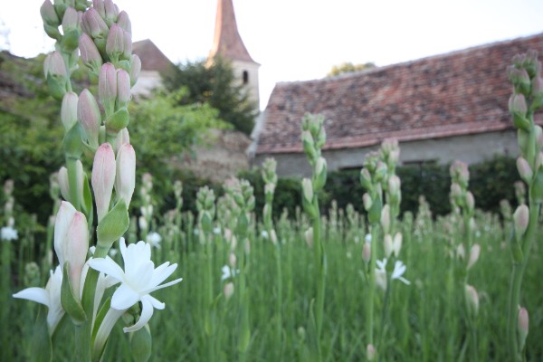 3afe4f50-8720-45d3-8b95-b00ebdddd29e